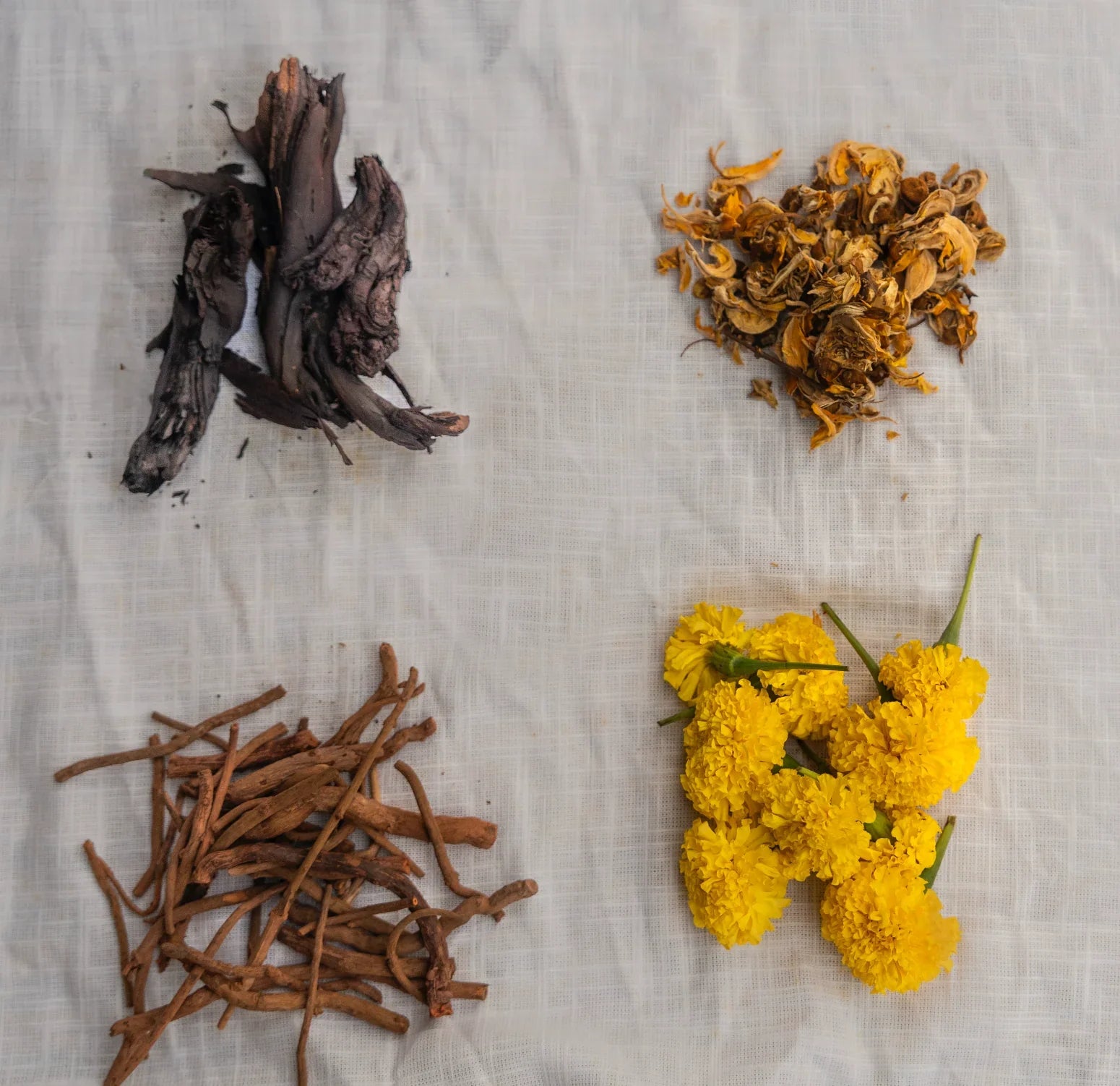 From Earth to Fabric: The Plants Behind Our Natural Dyes